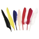 Plumes indiennes - 17,5 cm - 12 pces